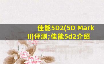 佳能5D2(5D Mark II)评测;佳能5d2介绍